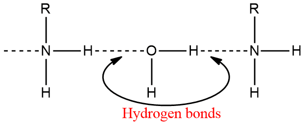 Hydrogen bonds