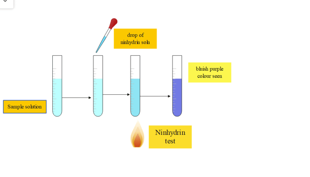 ninhydrin test