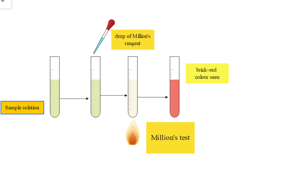 million's test