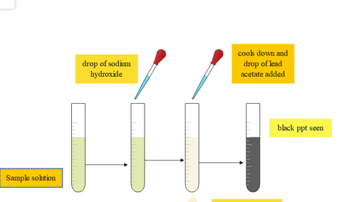 lead acetate test