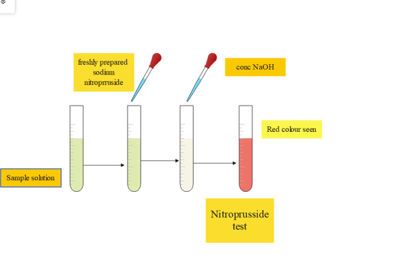 nitroprusside test