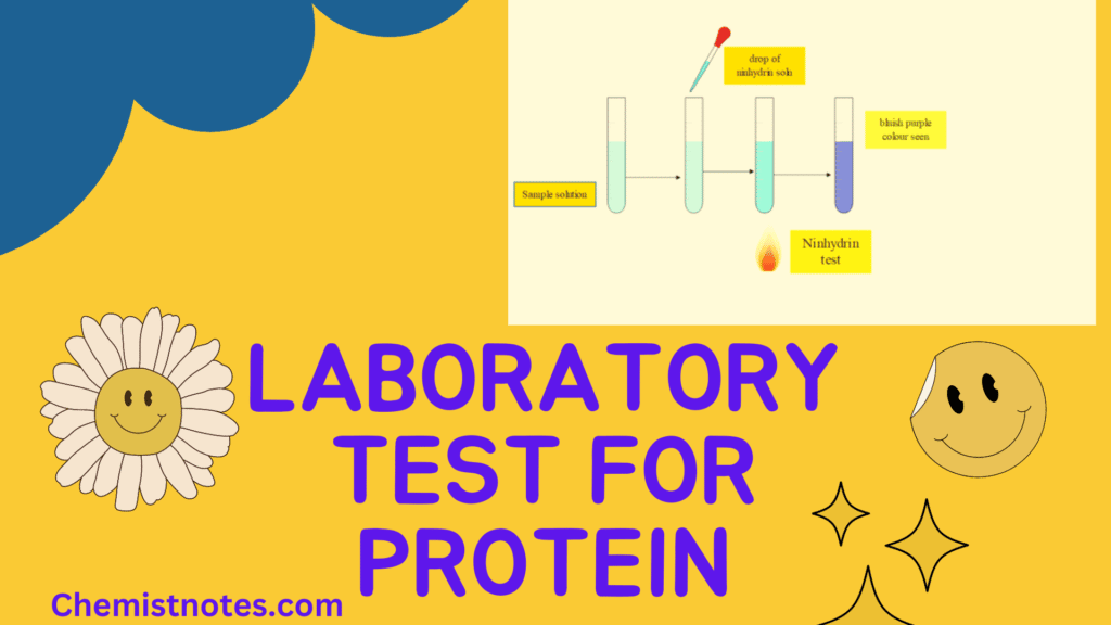 test for proteins