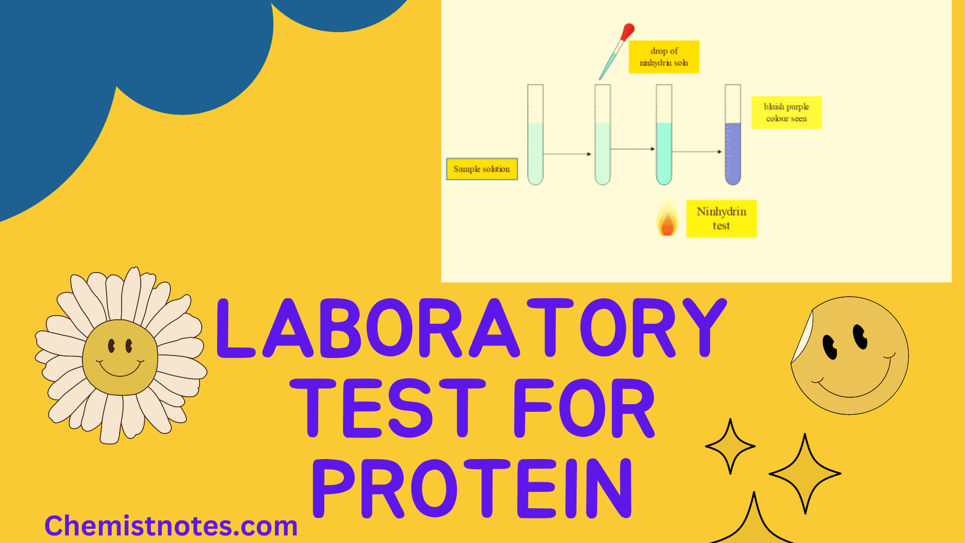 Laboratory test for protein 7 easy protocol chemistry notes