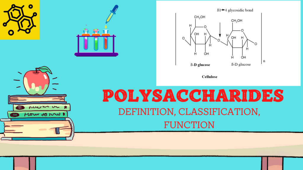 polysaccharide definition