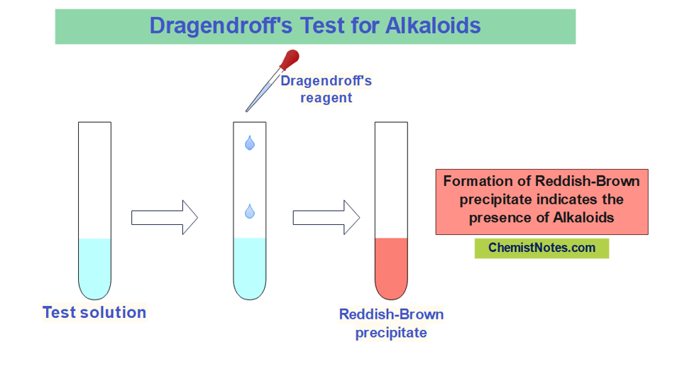 Dragendroff's test for alklaoids