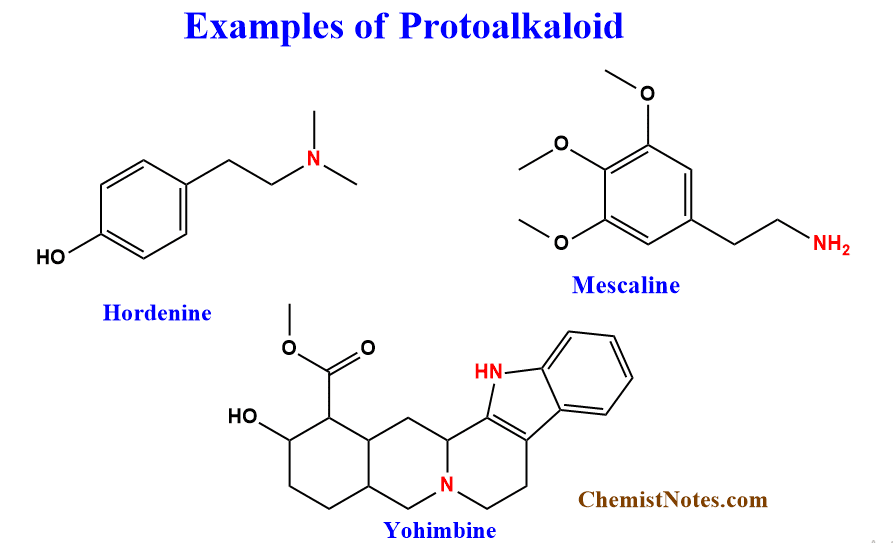 Examples of protoalkaloids