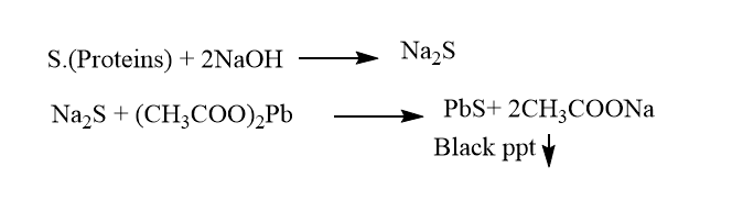 lead acetate test