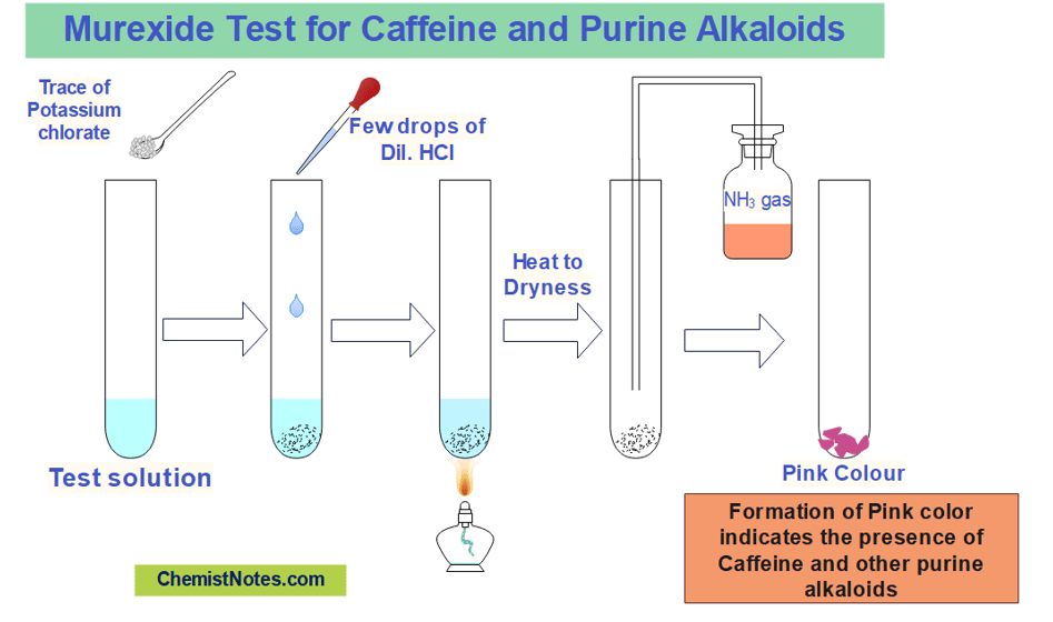 Murexide test for alkaloids