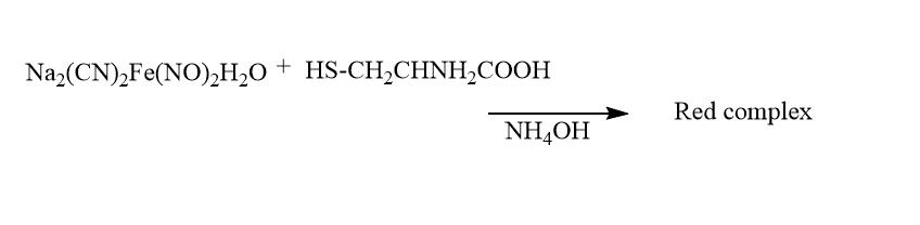 nitroprusside test