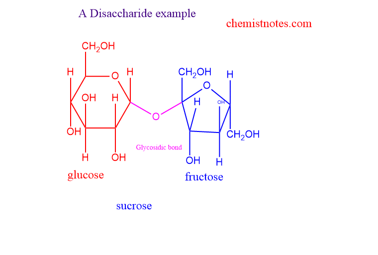 disaccharide maltose