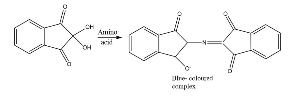 ninhydrin test