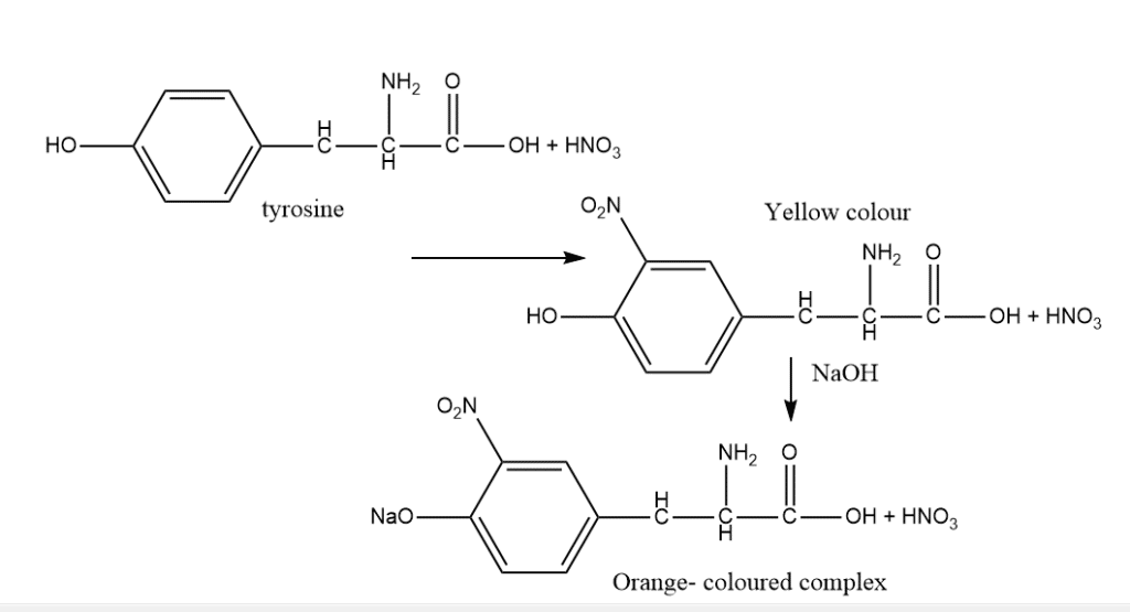 xanthoproteic test