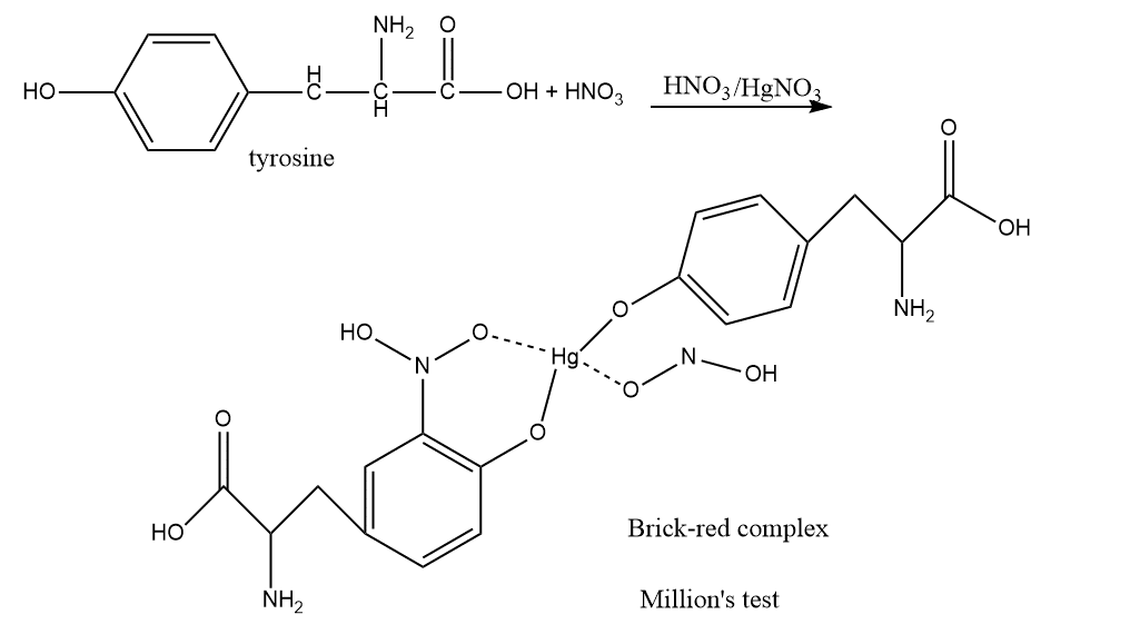 Million's test