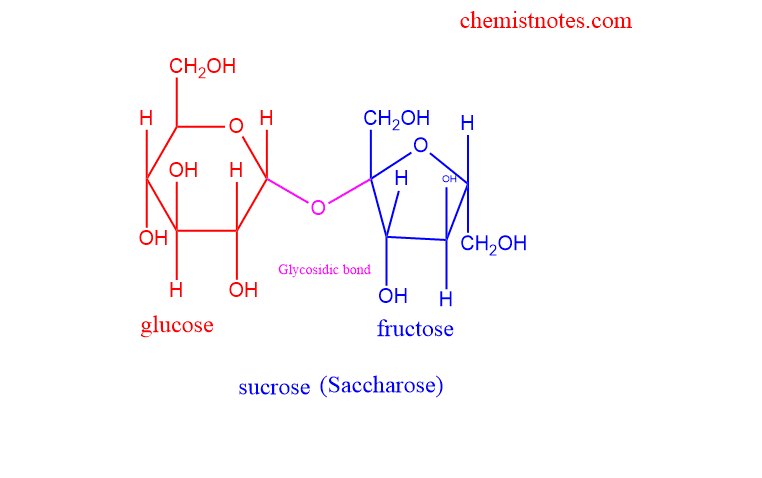 structure of sucrose