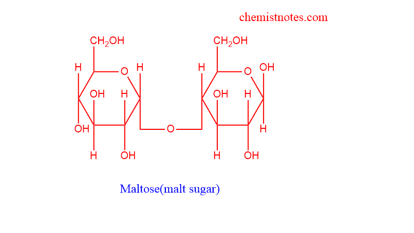 structure of maltose