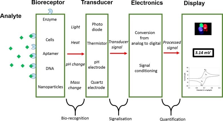 Biosensor