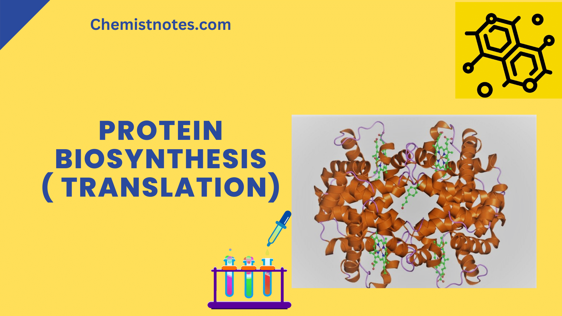 transcription-and-translation-protein-synthesis-from-dna-biology