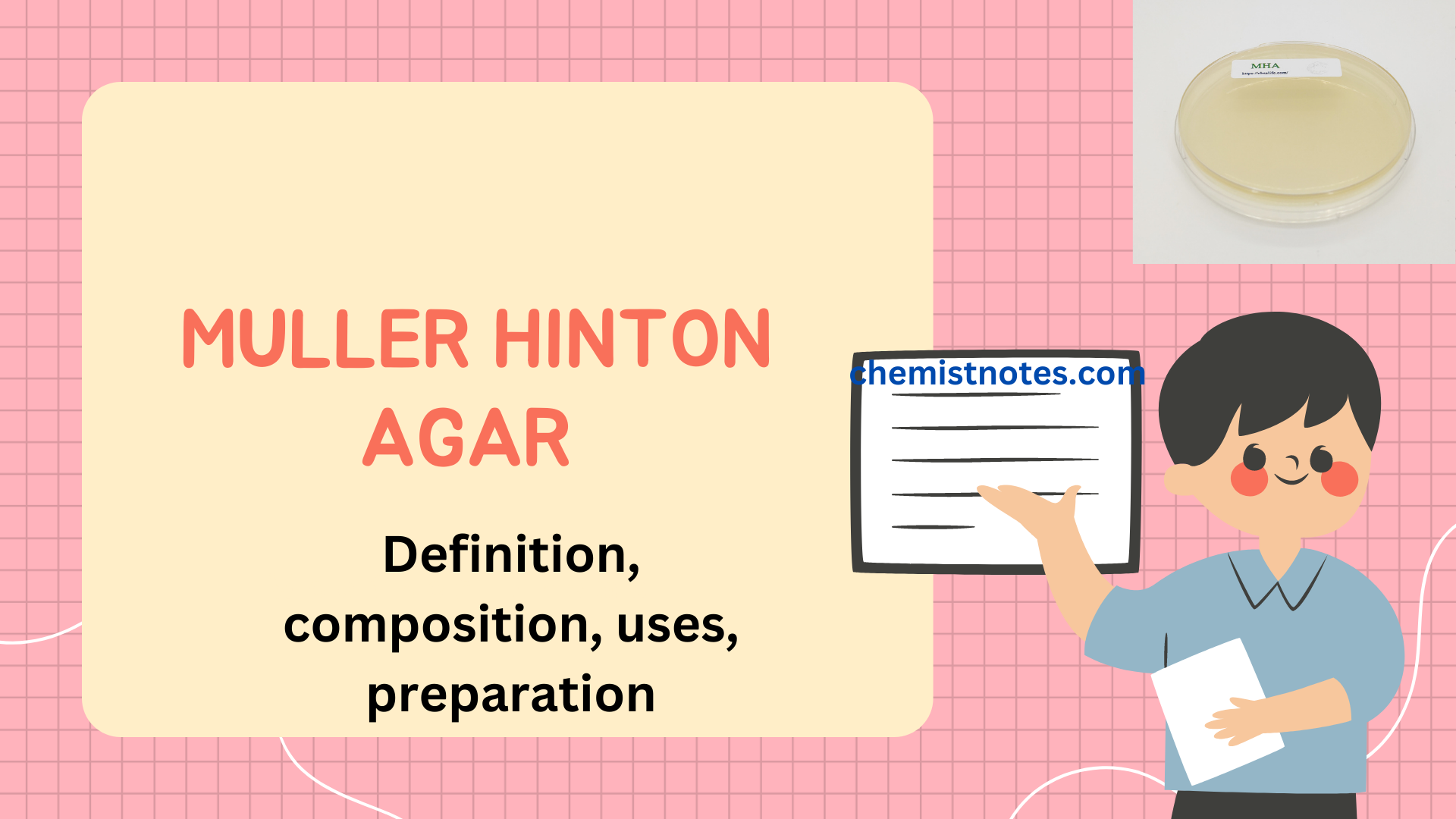 Muller Hinton Agar Definition Composition And Reliable Application Chemistry Notes