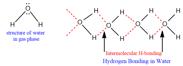 Intermolecular hydrogen bonding of water