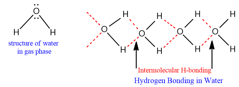 Intermolecular hydrogen bonding of water


