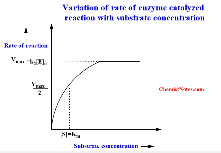 How does the rate of enzyme-catalyzed reaction vary with substrate concentration?