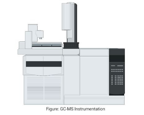 gas chromatography-mass spectrometry diagram