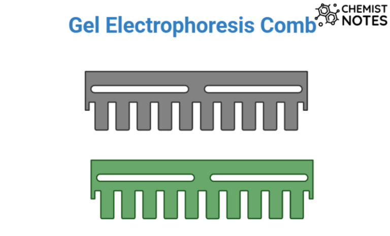 Gel Electrophoresis Easy Principle Media Types Application Chemistry Notes