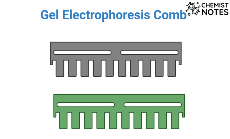 Gel electrophoresis comb