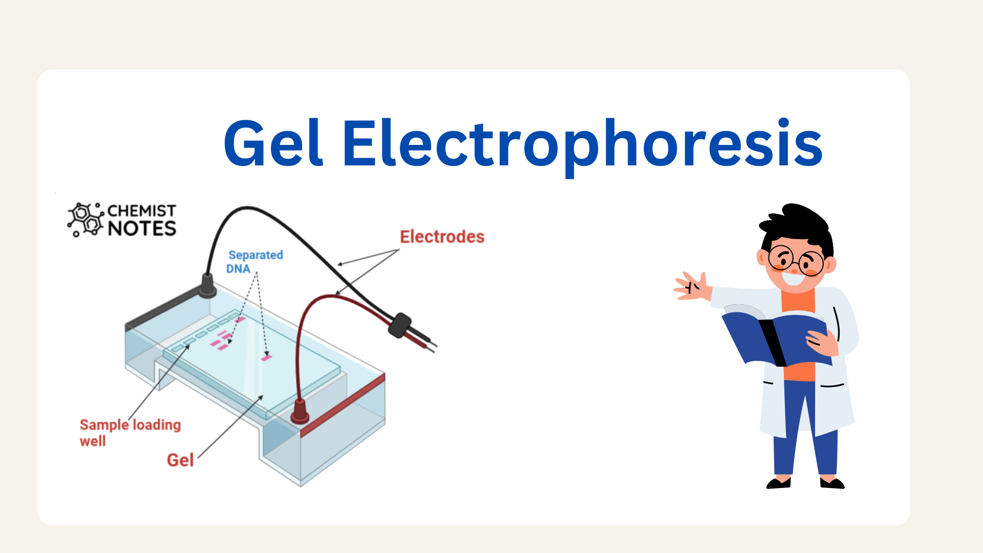 Gel Electrophoresis: Easy Principle, media,6 types, application ...