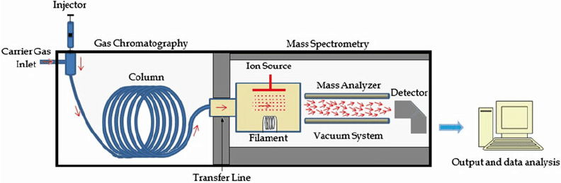 gas chromatography mass spectrometry