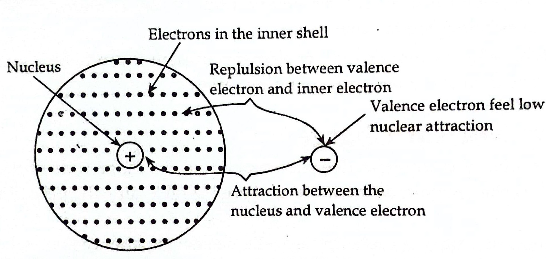 Shielding Effect or Screening Effect Definition, Factors Affecting