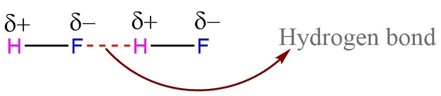 Hydrogen bond