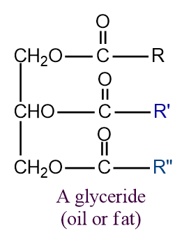 structure of glyceride 

