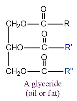 structure of glyceride 
