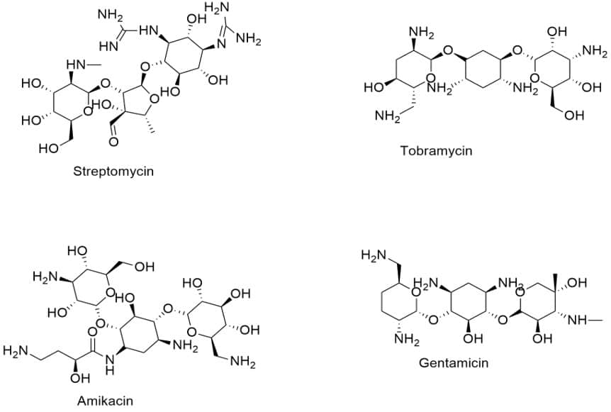 structure of antibiotics