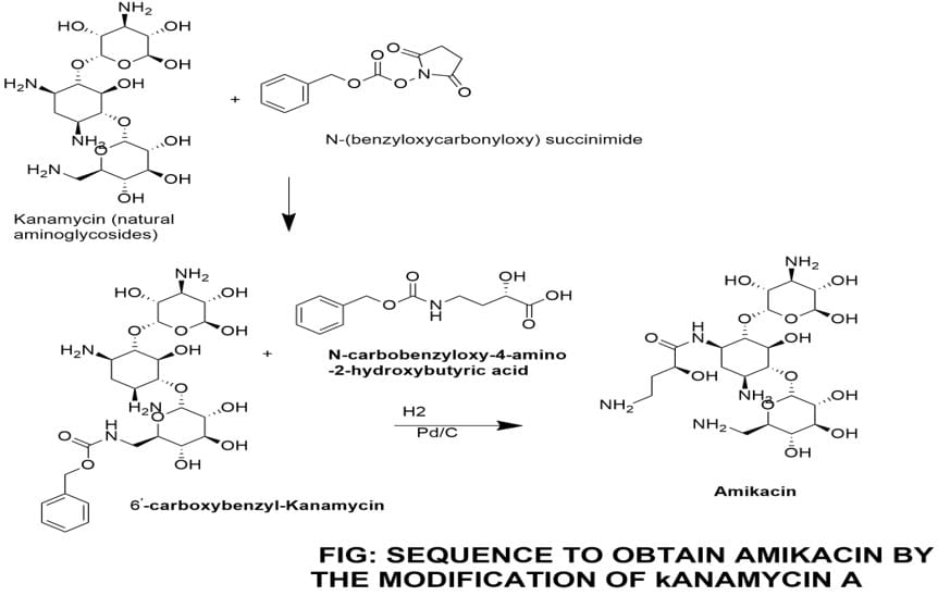 modification of antibiotics