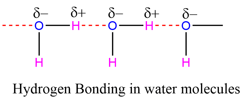 Hydrogen bonding in water
