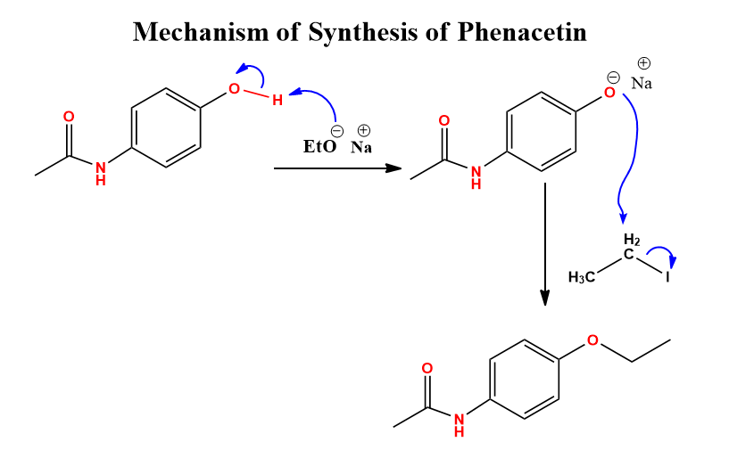Williamson ether synthesis of phenacetin mechanism