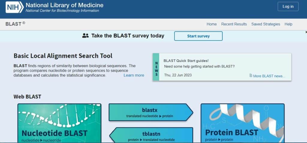 BLAST Analysis