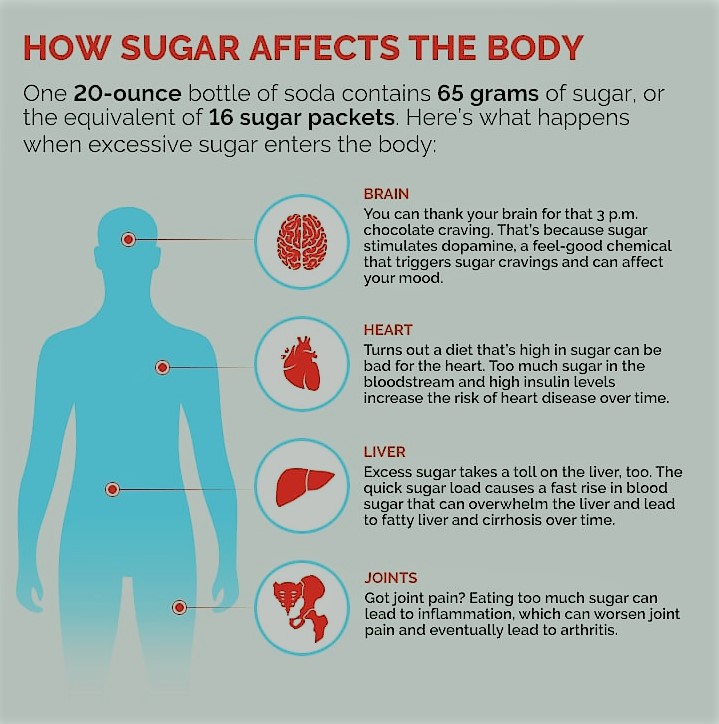 sugar body diagram 6 12