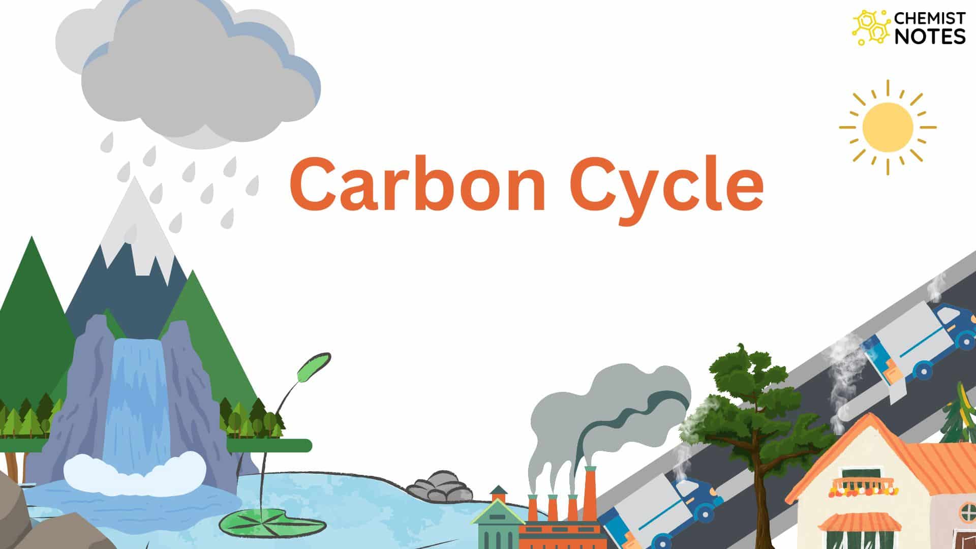 carbon-cycle-detailed-explanation-with-diagram-chemistry-notes