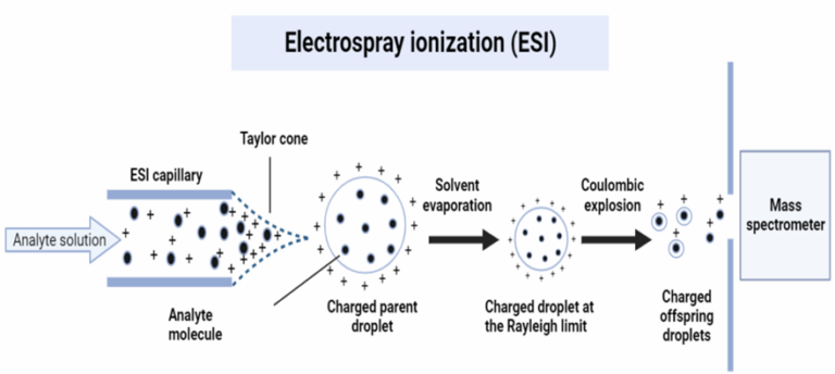 Electrospray ionization(ESI): Simple Principle, working mechanism, 4 ...