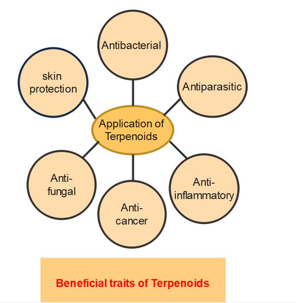 application of terpenoids