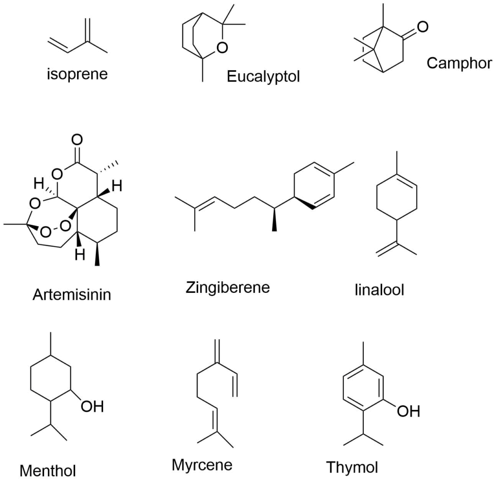 structure of terpenoids