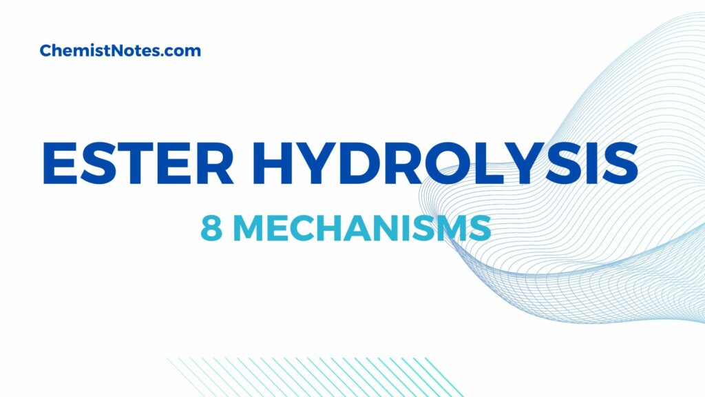 Ester hydrolysis mechanism