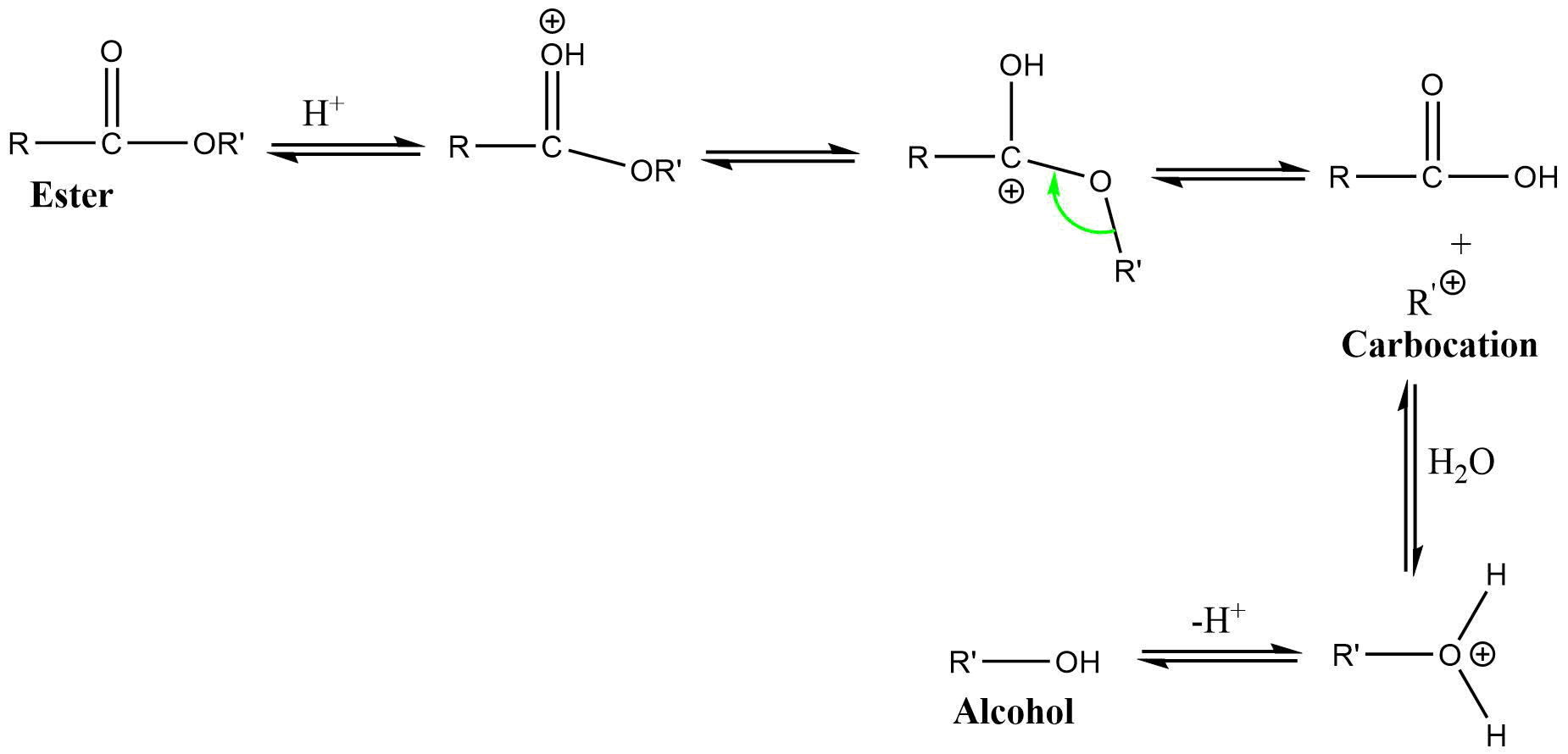 AAL1 (Acid catalyzed alkyl-oxygen bond cleavage unimolecular reaction)