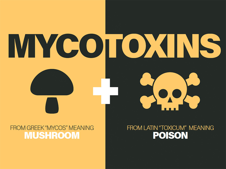 mycotoxin