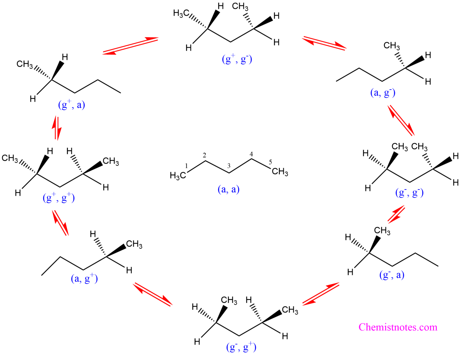 n-pentane conformation: Easy Explanation - Chemistry Notes