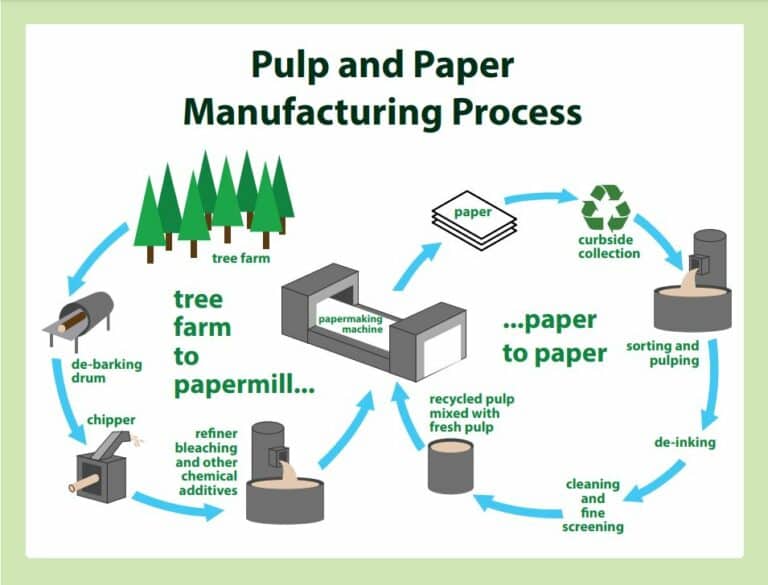 Paper and Pulp Introduction, Raw materials, Stages, And Flow Sheet