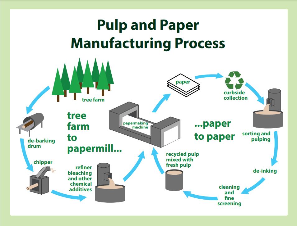 production of paper